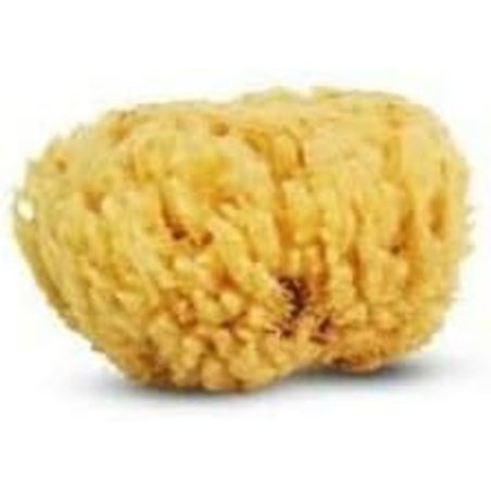 Cartel 5640 Natural Sea Sponge