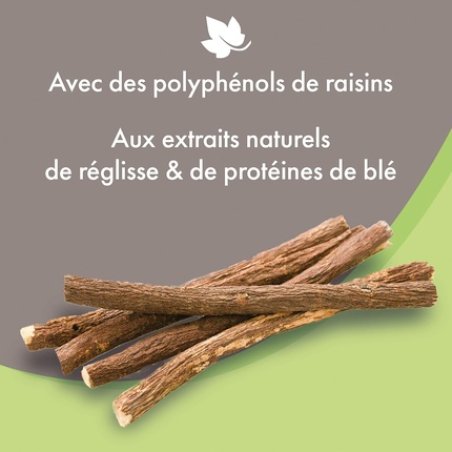 Beaphar Premium Gentle All Coat Dog Shampoo with Natural Licorice Extracts