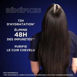 Garnier Ultra Doux Hydrating & Balancing Shampoo with Magnetic Charcoal