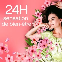 Lenor Fabric Softener Cherry Blossom 40 Washes