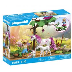 Playmobil Fairies 71839 jouet