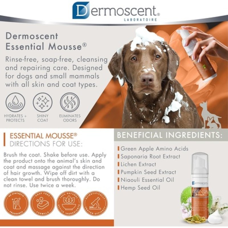 Dermoscent Essential Mousse Dry Shampoo for Dogs and Small Mammals Rinse Free