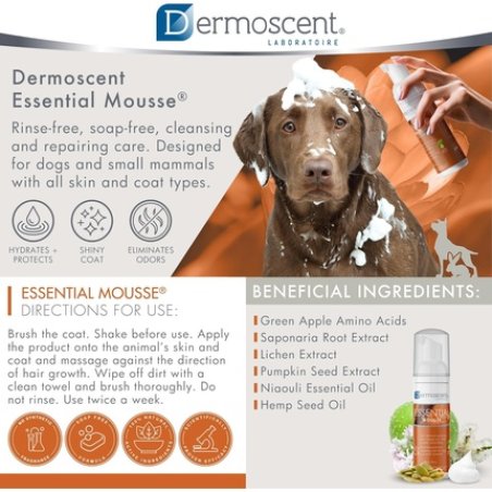 Dermoscent Essential Mousse Dry Shampoo for Dogs and Small Mammals Rinse Free