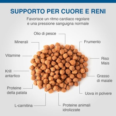 Dechra Specific CKD Canine Heart & Kidney Support 2kg