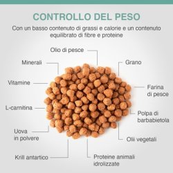 Specific Weight Control Card 2-6kg