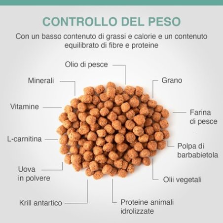 Specific Weight Control Card 2-6kg