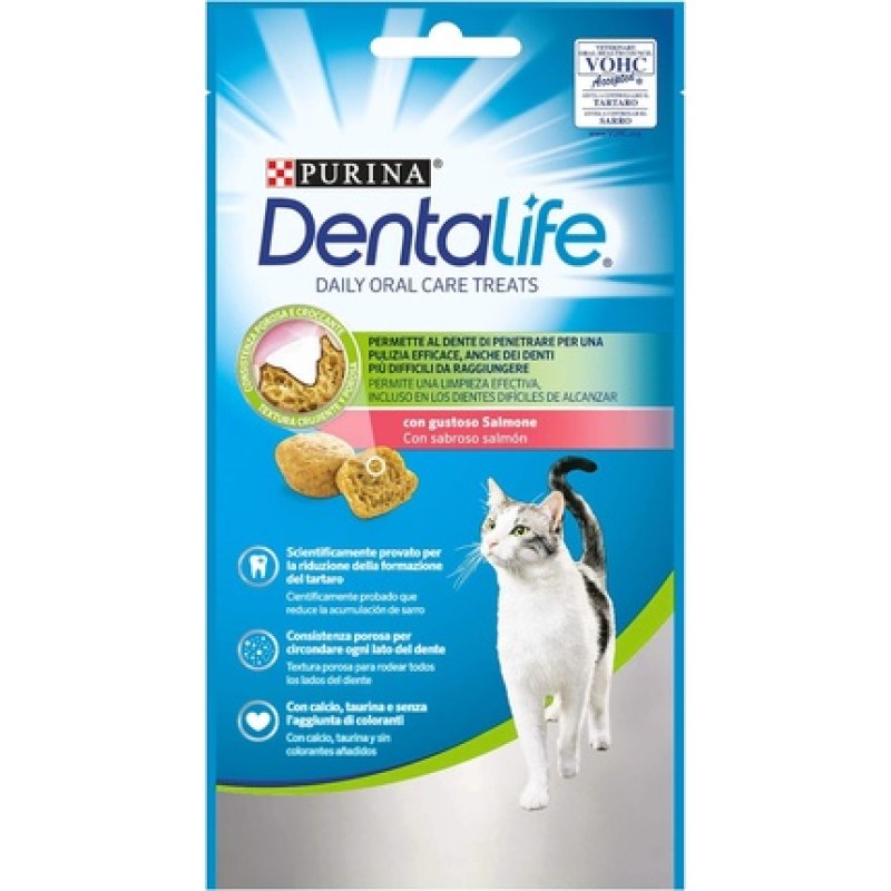 Purina Dentalife Snack for Cats Salmon 40g