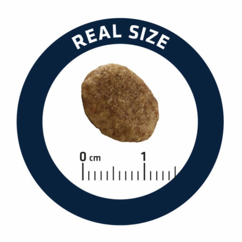 Advance Pet URINARY croquette pour chat 3 kg Adulte