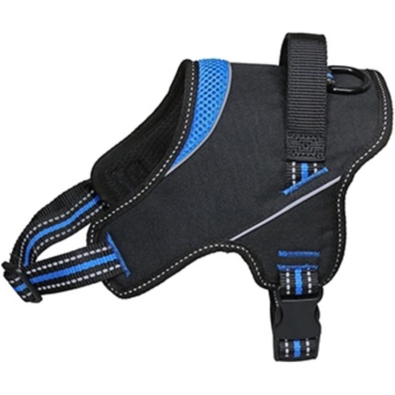 Arnes Strong Azul T-Xl C 58-75cm D 72-94cm