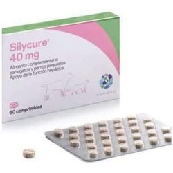 Karizoo Pa Silycure Dog and Cat Toy 40mg 60cpd