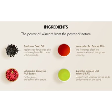 Vegan Kombucha Cream Essence - The Most Effective All-in-One Serum - Korean Skin Care with Kombucha, Tea Extract 78%,