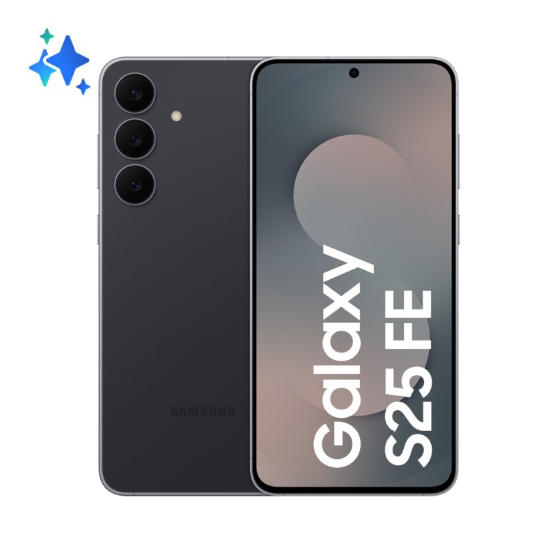 Samsung Galaxy S25 FE 5G 17 cm (6.7") Double SIM USB Type-C 8 Go 256 Go 4900 mAh Noir
