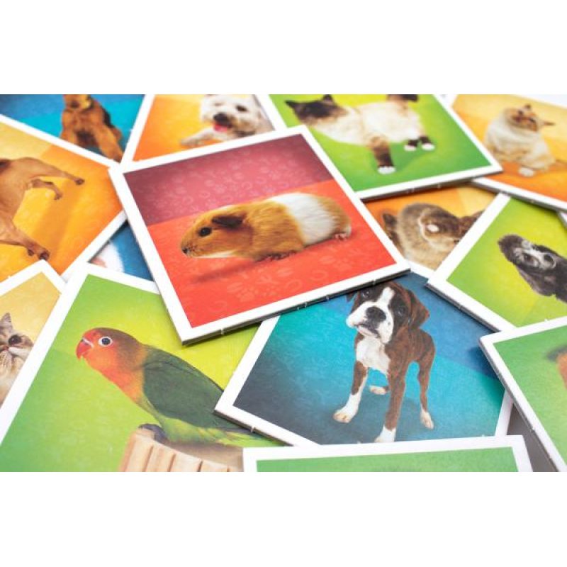 Tactic Pets Memo Card Game Matching