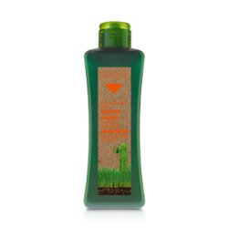 Salerm Cosmetics Shampoing Cheveux Traités 300 ml