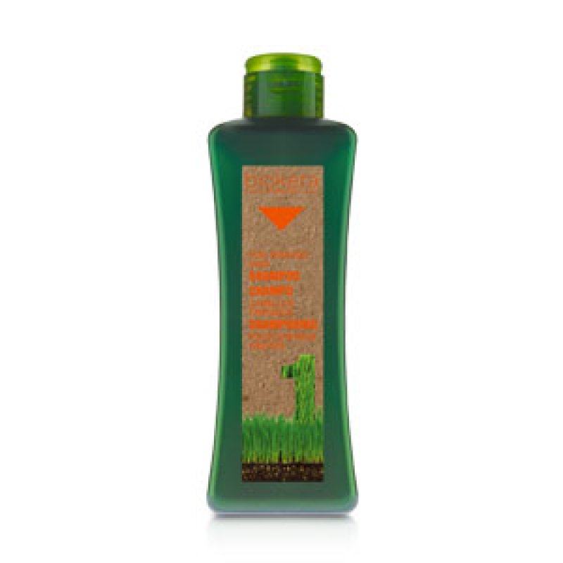 Salerm Cosmetics Treated Hair Shampoo, 300 ml