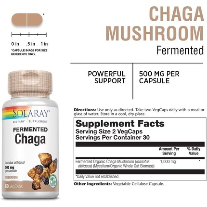 Solaray Fermented Chaga Mushroom 500mg