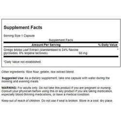 Swanson Ginkgo Biloba Extract 60mg 30 Capsules