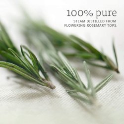 Now Foods Rosemary Essential Oil 2 fl oz (59 ml)