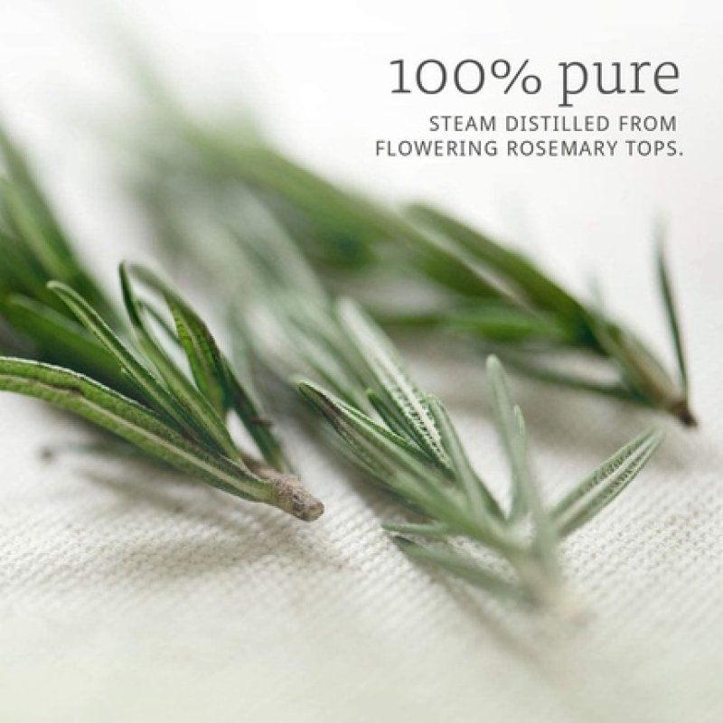 Now Foods Rosemary Essential Oil 2 fl oz (59 ml)