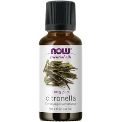 NOW Foods Citronella Oil huile essentielle 30 ml Citronelle Diffuseurs d'huiles essentielles