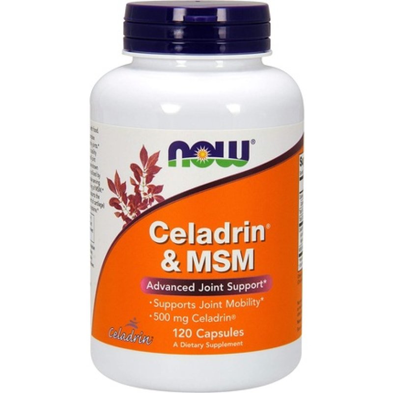 Celadrin and MSM 500mg 120 Capsules