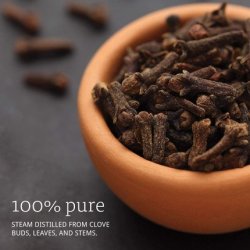 100% Pure Clove Essential Oil 59ml