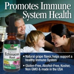 Nature's Answer Echinacea Alcohol Free Extract 1 Fluid Ounce