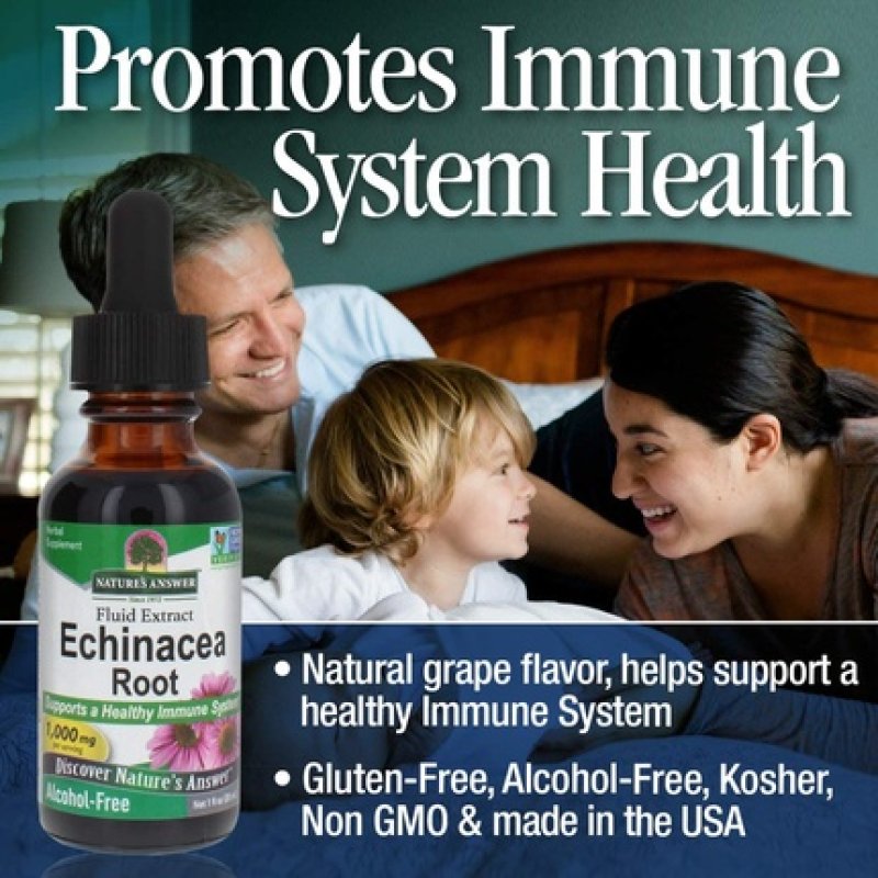Nature's Answer Echinacea Alcohol Free Extract 1 Fluid Ounce