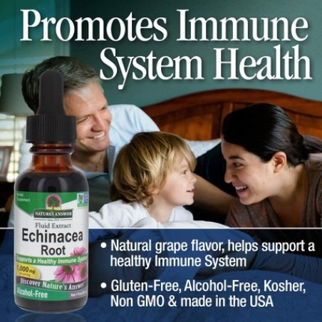 Nature's Answer Echinacea Alcohol Free Extract 1 Fluid Ounce
