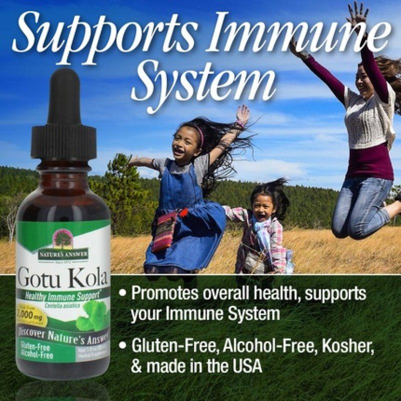 Nature's Answer Alcohol-Free Gotu Kola Herb 1 fl oz