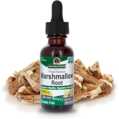 Nature's Answer Alcohol-Free Marshmallow Root Extract 1 Fluid Ounce for Digestive Health