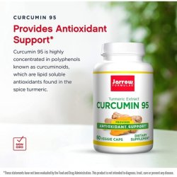 Jarrow Formulas Curcumin 95 500mg 60 Capsules