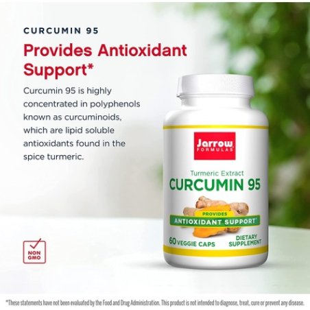 Jarrow Formulas Curcumin 95 500mg 60 Capsules