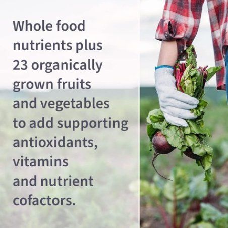 Garden Of Life Vitamin Code Whole Food Multivitamin for Men 240 Capsules