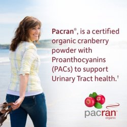 Garden of Life Dr. Formulated Probiotics Urinary Tract Acidophilus Probiotic 60 Vegetarian Capsules