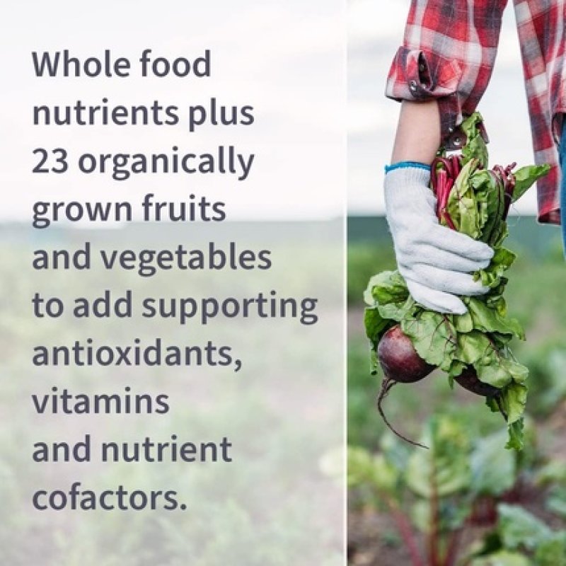 Garden of Life Vitamin Code Women's Multi Whole Food Womens Multi with Iron Folate Probiotics 120 Capsules