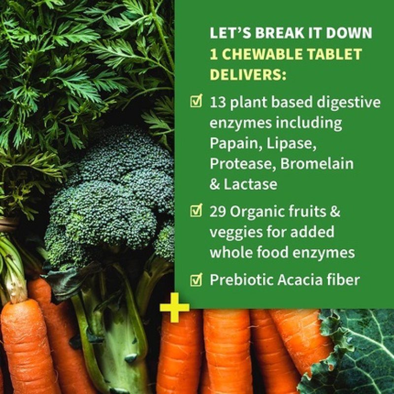 Garden of Life Dr Formulated Digestive Enzymes with Papain, Bromelain, Lipase Organic Digest 90 Chewables