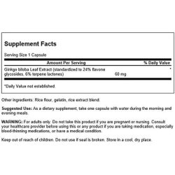 Swanson Ginkgo Biloba Extract 24% 60mg 240 Capsules