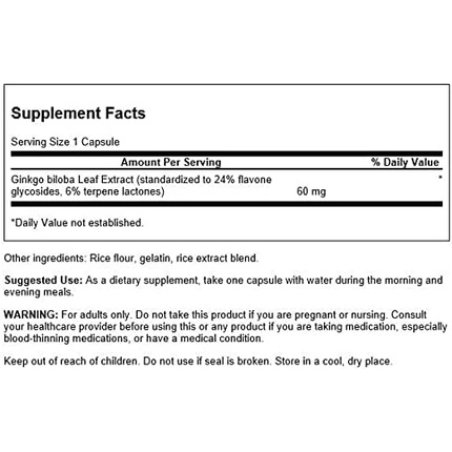 Swanson Ginkgo Biloba Extract 24% 60mg 240 Capsules