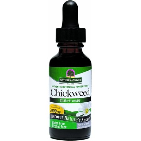 Nature's Answer Alcohol-Free Chickweed Stelleria Media 2000mg 1oz Extract