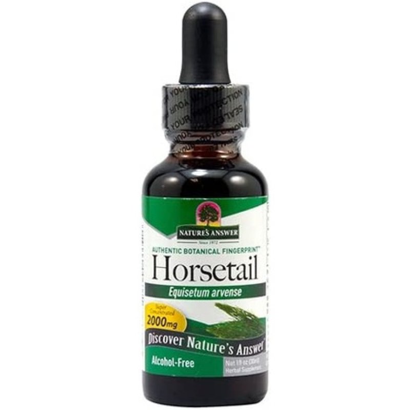 Nature's Answer Horsetail Herb 30ml Natural Herbal Extract Supports Healthy Hair Skin Nails Promotes Overall Well-Being