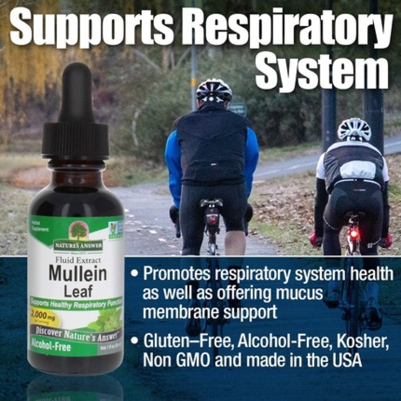 Nature's Answer Mullein Leaf 30ml