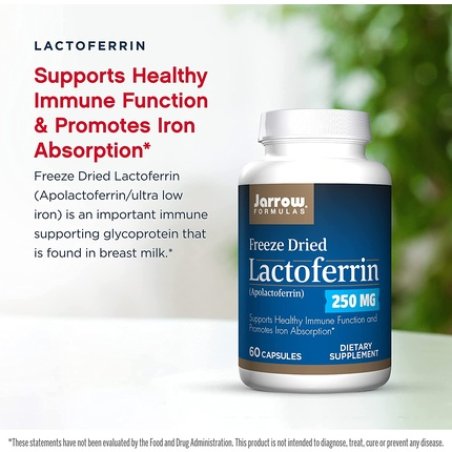 Jarrow Formulas Lactoferrin 250mg Immune-Supporting Glycoprotein 60 Capsules - 60 Servings