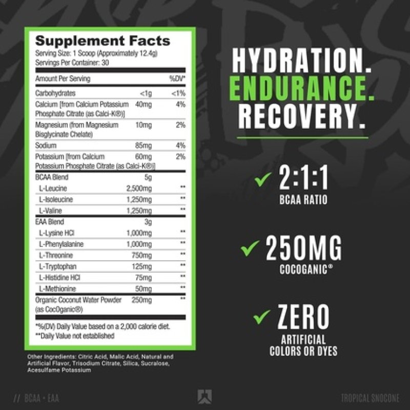Ryse Up Supplements Core Series BCAA EAA Recovery and Hydration with 5g