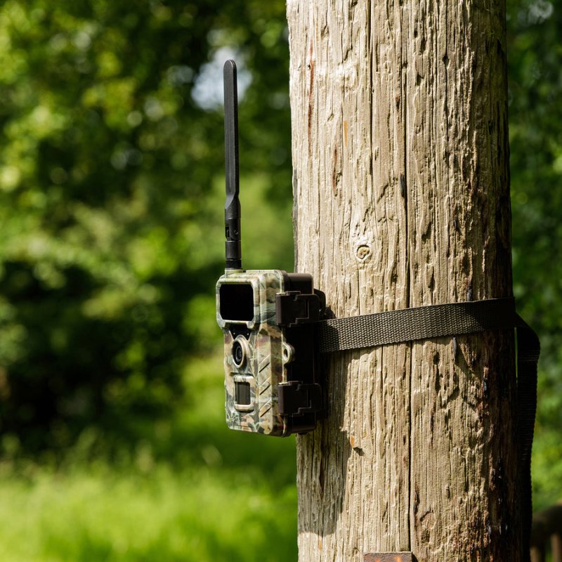 Rollei 40532 trail camera CMOS Night vision Camouflage 3840 x 2160 pixels