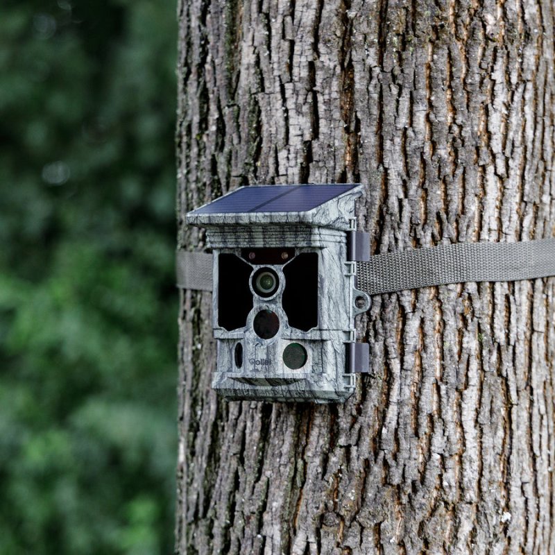 Rollei - Wildlife camera 4K WiFi Solar