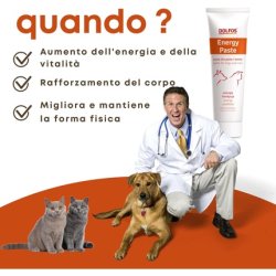 Energy Paste for Dogs and Cats - Supplement to Restore Mobility