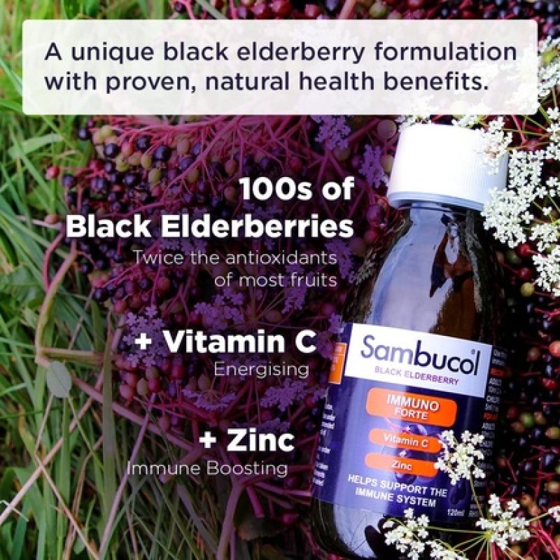 Sambucol Natural Black Elderberry Immuno Forte with Vitamin C and Zinc 120ml