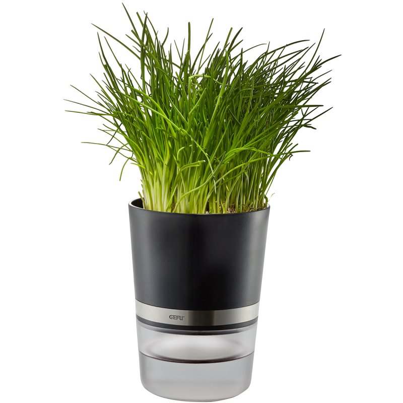 GEFU BOTANICO Herb pot Freestanding Plastic Stainless steel Black