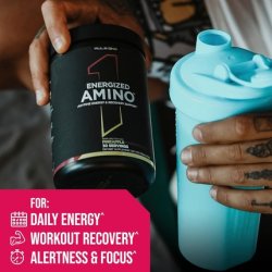 Rule One Energized Amino Pineapple Passion Fruit 270g